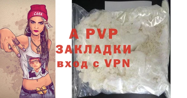 сатива Осинники