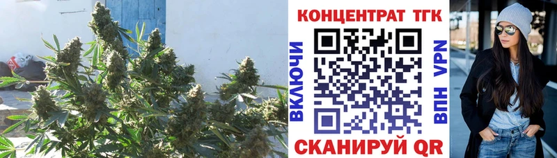 наркота  Заволжье  ТГК THC oil 