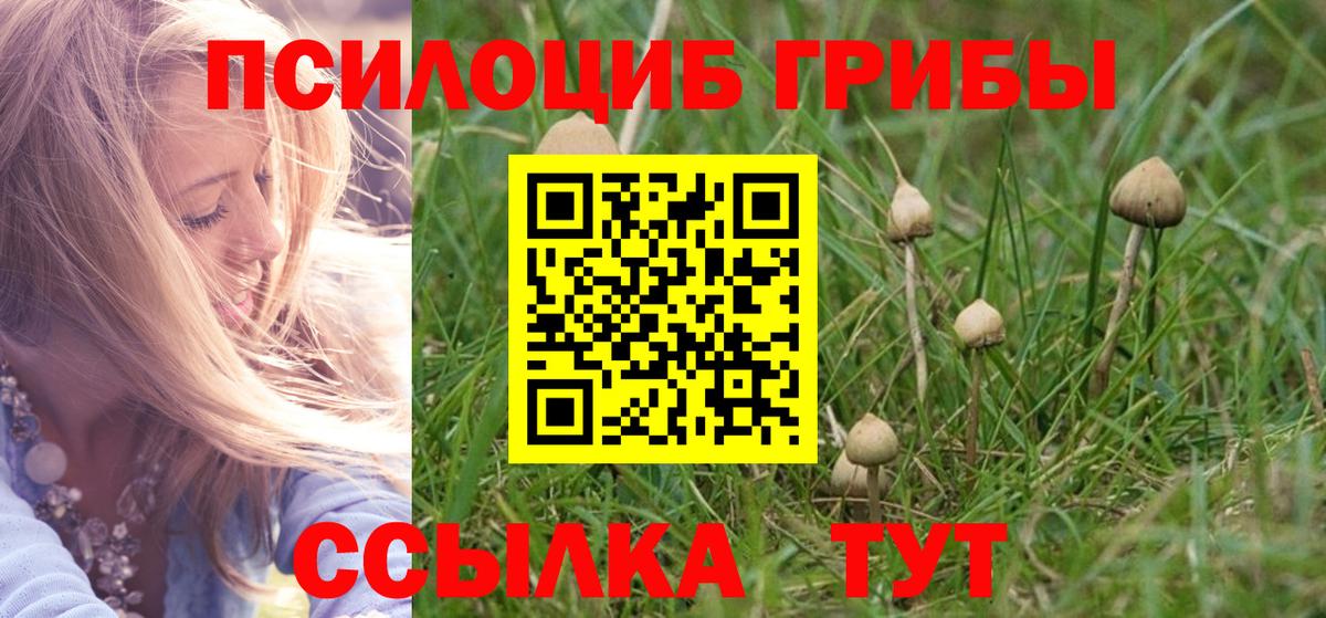 Галлюциногенные грибы мицелий  Вход с VPN  Заволжье 
